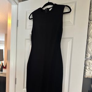 Aritzia Babaton Milton Midi Dress